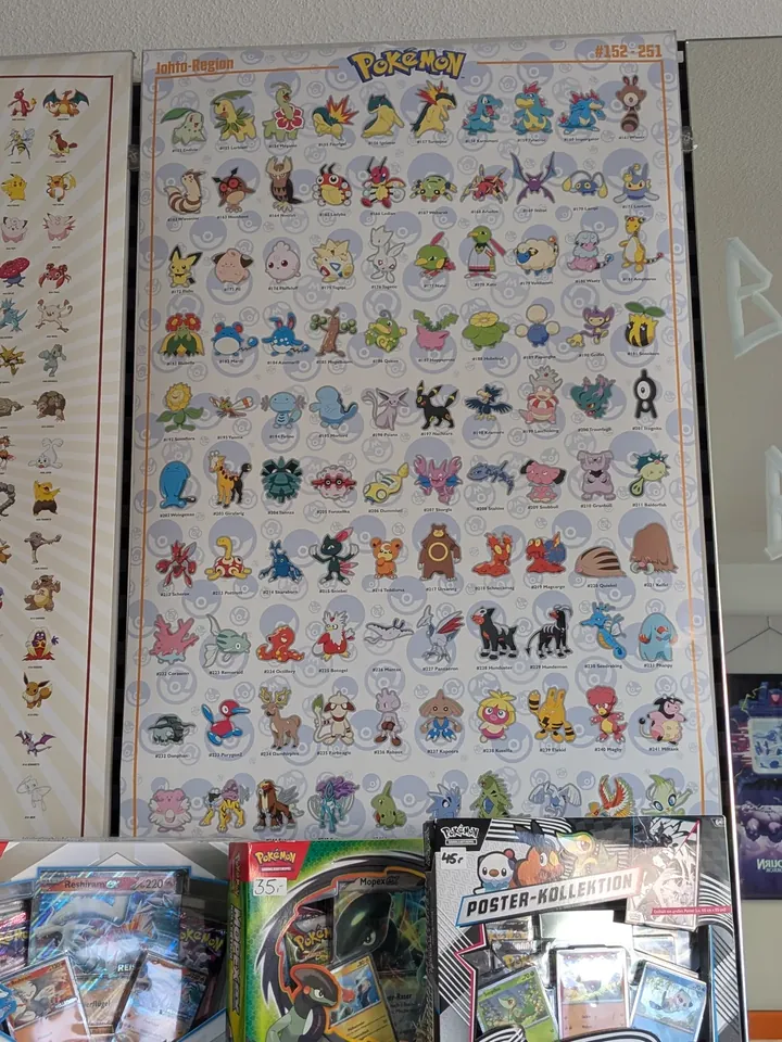 Linker Teil einer großen Pokémon-Motivwand über dem Sortiment